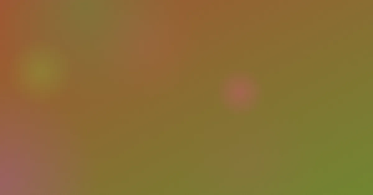 美好生活攻略：四种方案怎么选